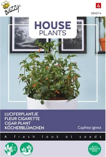 Buzzy House Plants kamerplantenzaad Luciferplantje (Cuphea ignea)