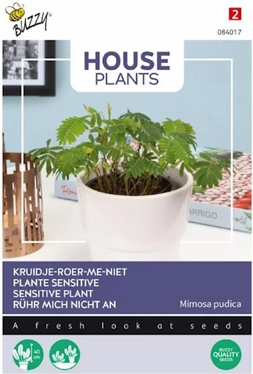 Buzzy House Plants kamerplantenzaad Kruidje-roer-mij-niet (Mimosa pudica)