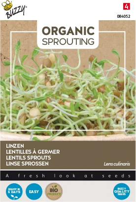Buzzy kiemgroentezaad Linzen (Lens culinaris)