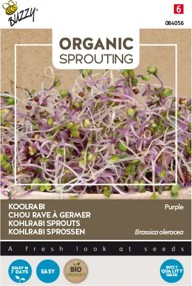 Buzzy kiemgroentezaad Koolrabi (Brassica oleracea acephala var gongylodes)