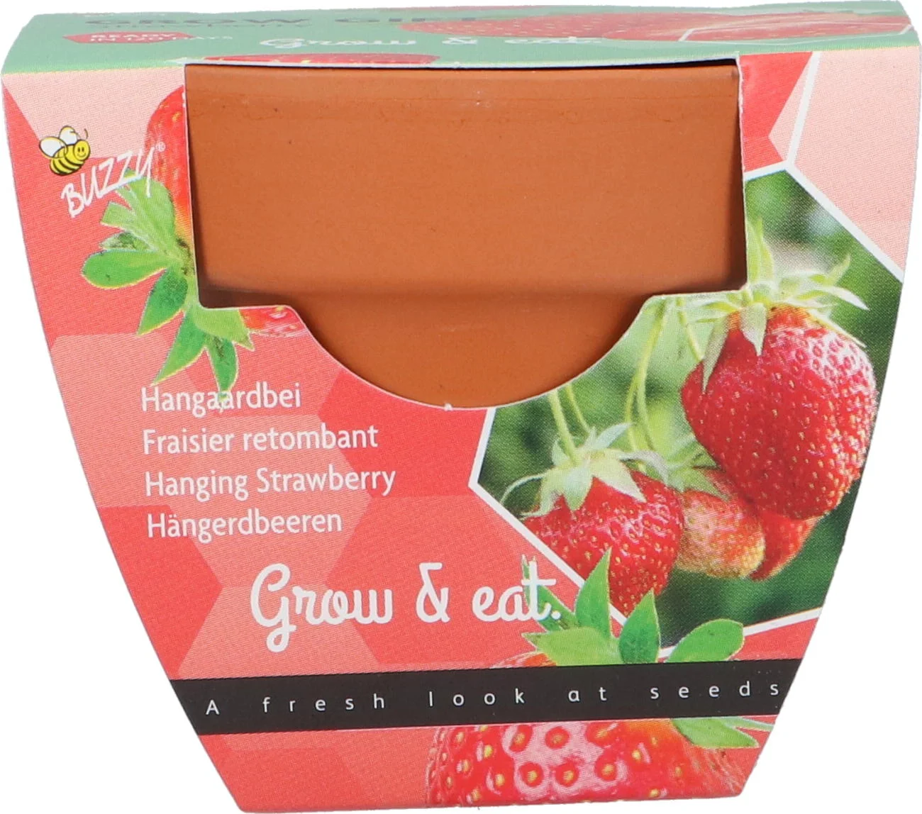 Buzzy Grow Gift fruitzaden Aardbei (Fragaria x annanassa f1)