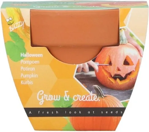 Buzzy Grow Gift groentezaad Halloween Pompoen (Cucurbita) 5 x 5 x 6 cm