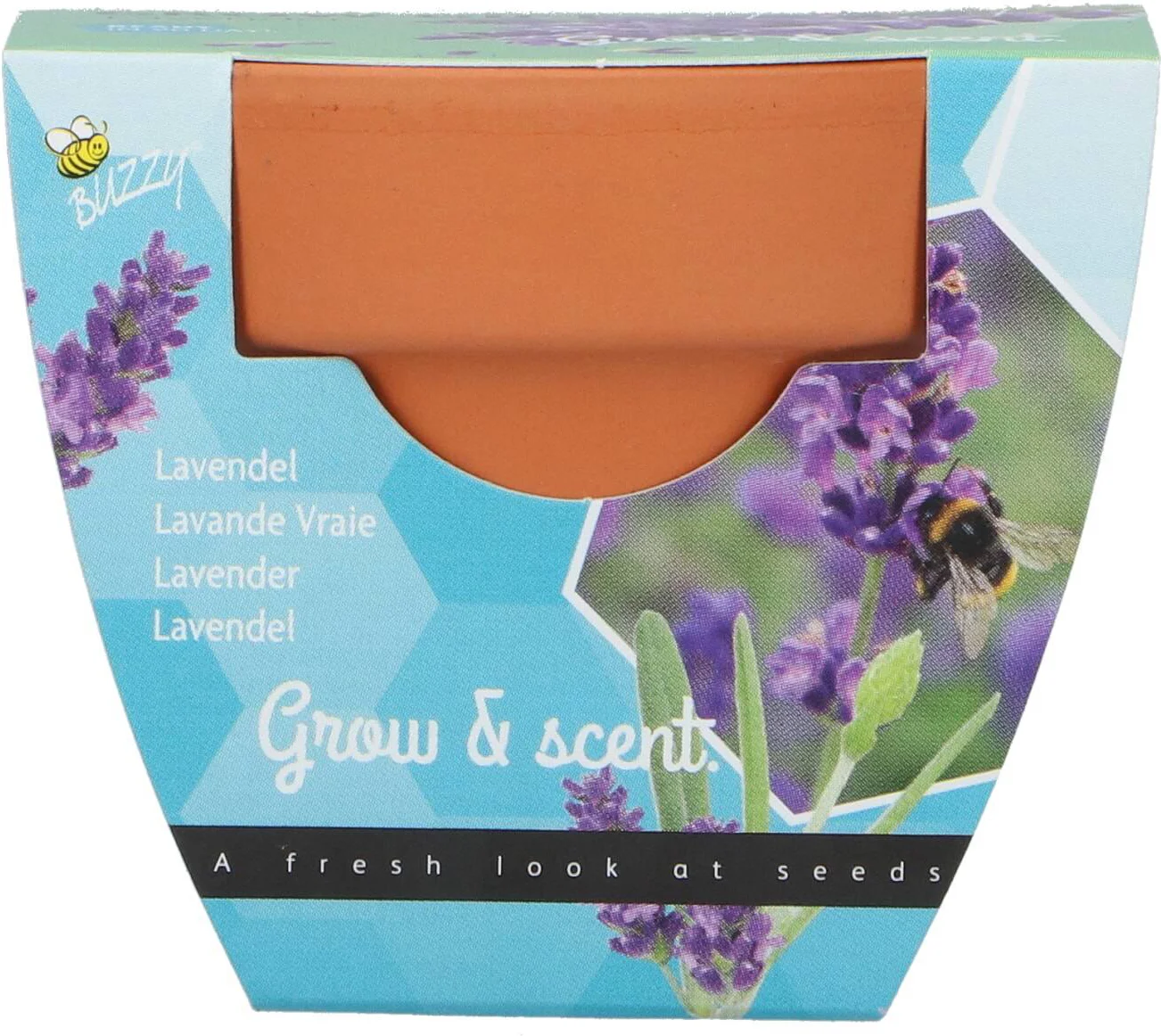 Buzzy bloemenzaad kweekset lavendel (Lavandula)