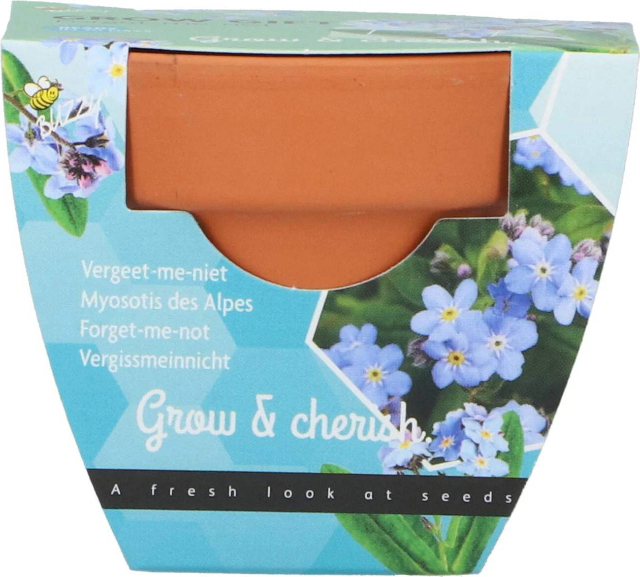 Buzzy bloemenzaad kweekset Vergeet-me-niet (Myosotis)