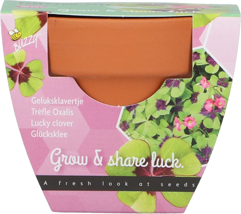 Buzzy Grow Gift kamerplantenzaad Klavertje vier (Oxalis) 5 x 5 x 6 cm