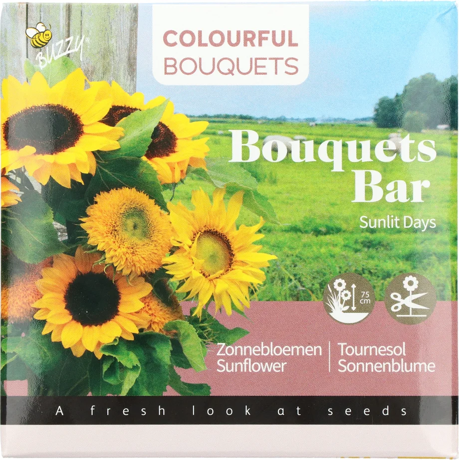 Buzzy Bouquets bar zonnebloemen (Helianthus) 10,5 x 10,5 x 1,5 cm