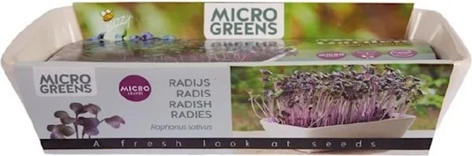 Buzzy Microgreens kiemgroentezaad Daikon Radijs (Raphanus sativus) 11 x 12 x 6 cm