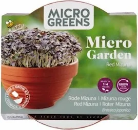 Buzzy Microgreens kiemgroentezaad Rode Mizuna (Brassica rapa) 11 x 12 x 6 cm