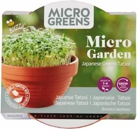 Buzzy Microgreens kiemgroentezaad Tatsoi (Brassica narinosa) 6,2 x 6,2 x 11 cm