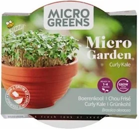 Buzzy Microgreens kiemgroentezaad Boerenkool (Brassica oleracea var. Acephala Sabellica) 6,2 x 6,2 x 11 cm
