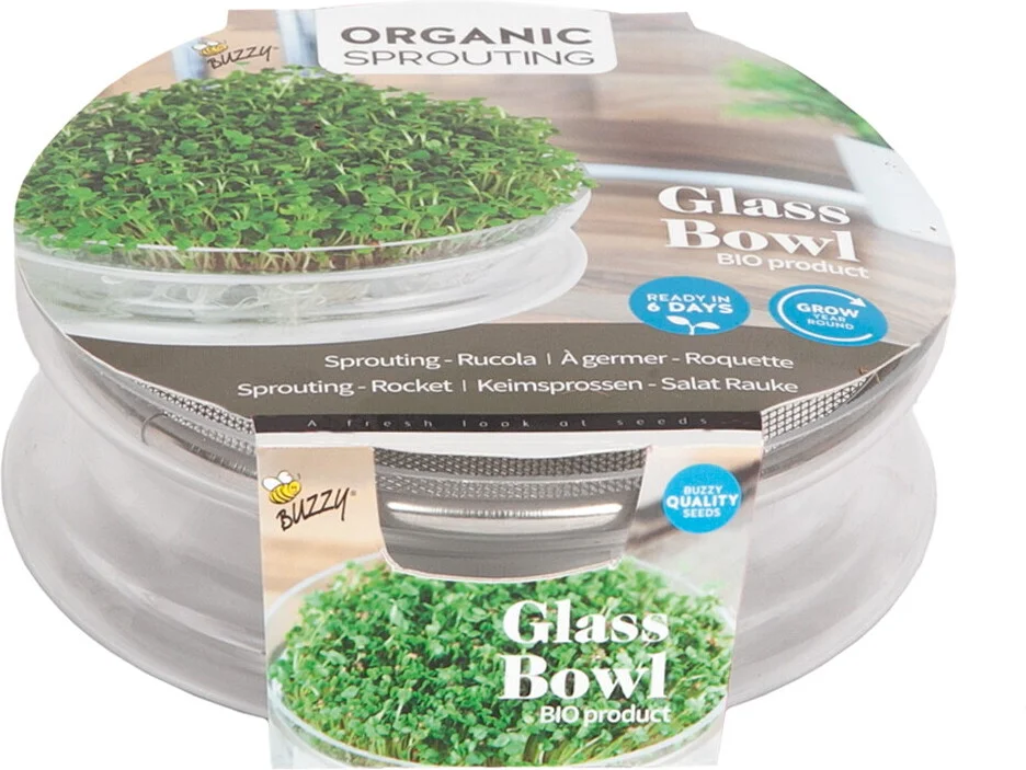Buzzy® biologische kiemgroentezaad in glazen schaal Rucolakers (Eruca vesicaria)