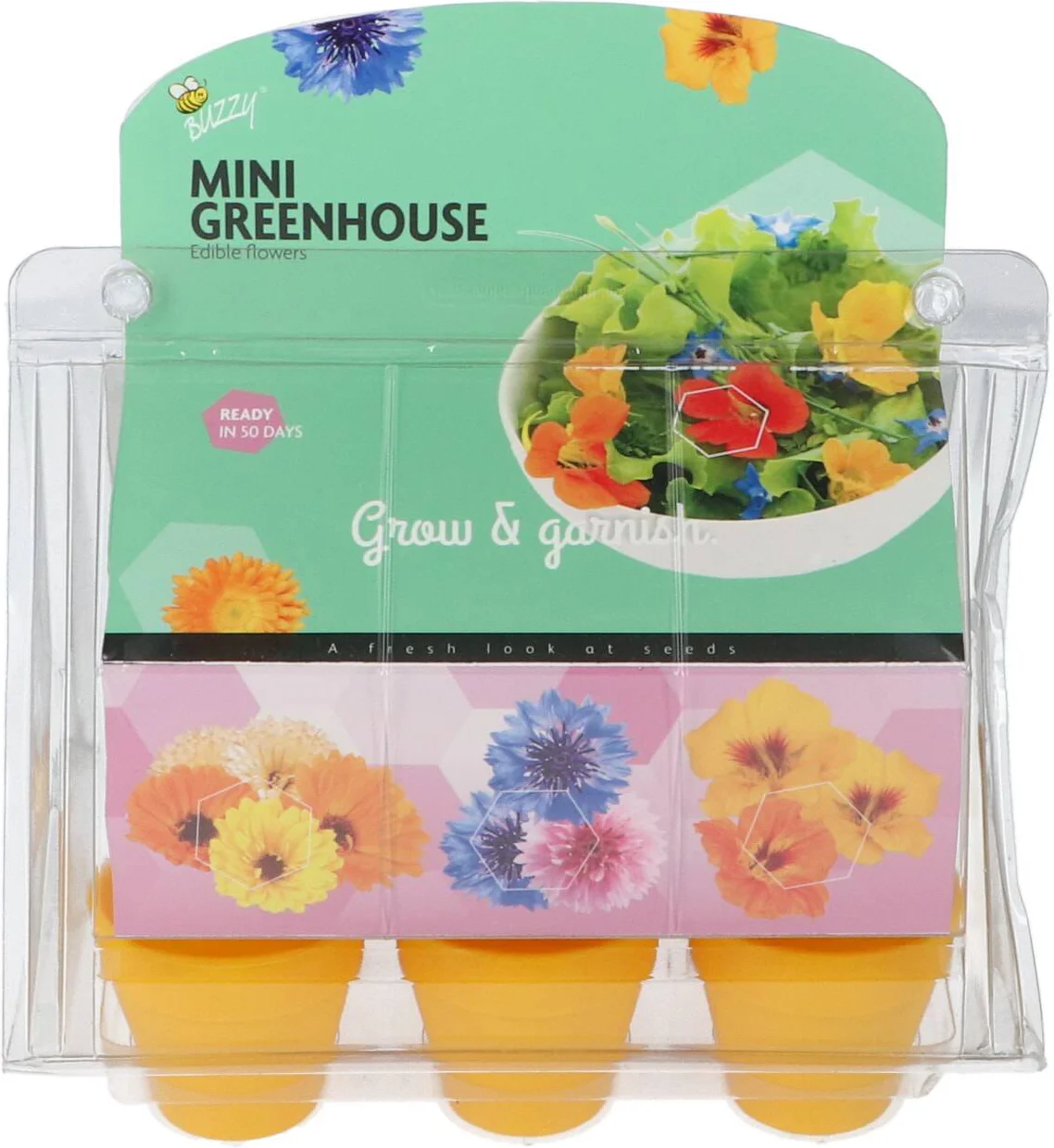 Buzzy kruidenzaad kweekset eetbare bloemen 11 x 17 x 15 cm