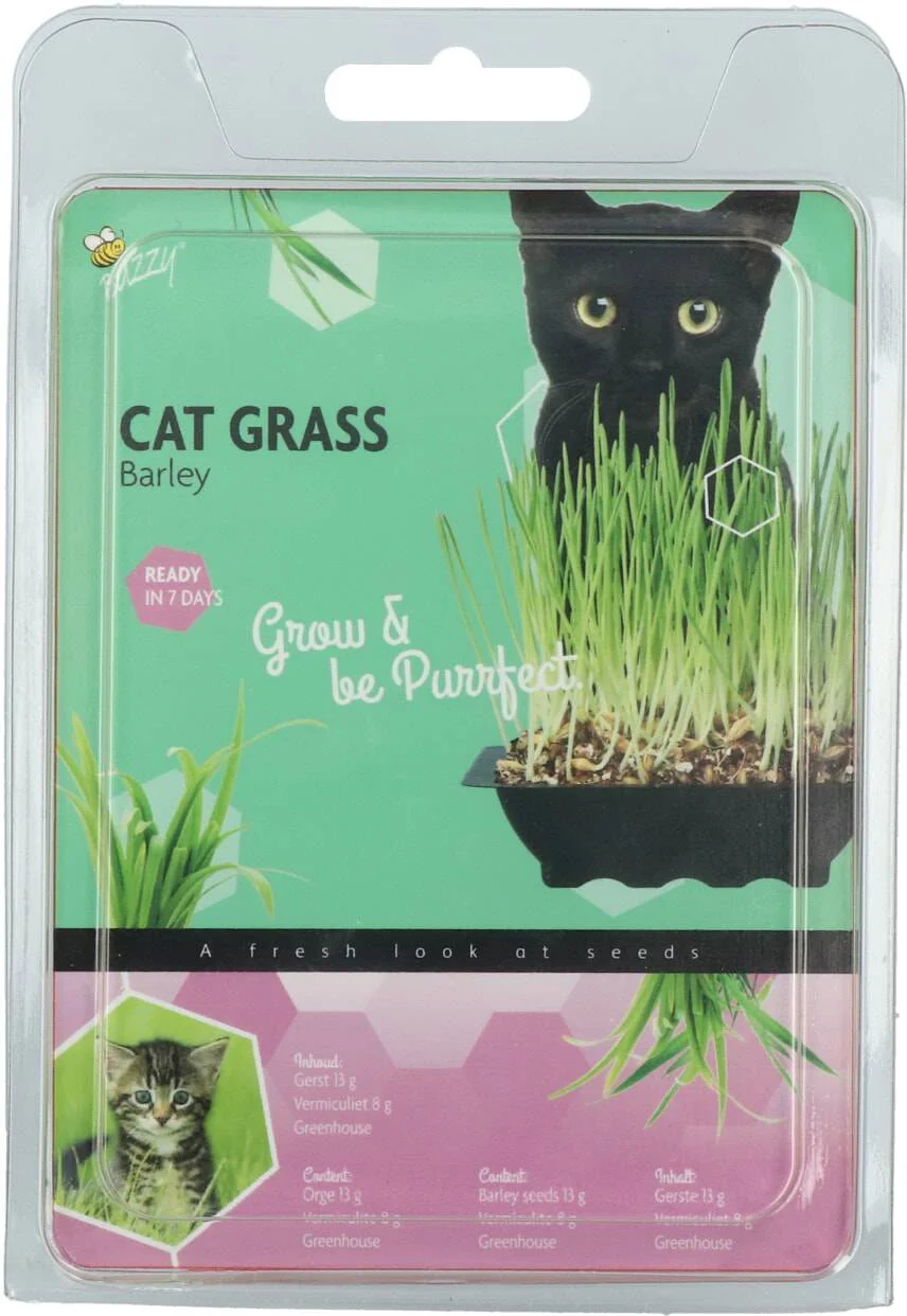 Buzzy kruidenzaad kweekset kattengras