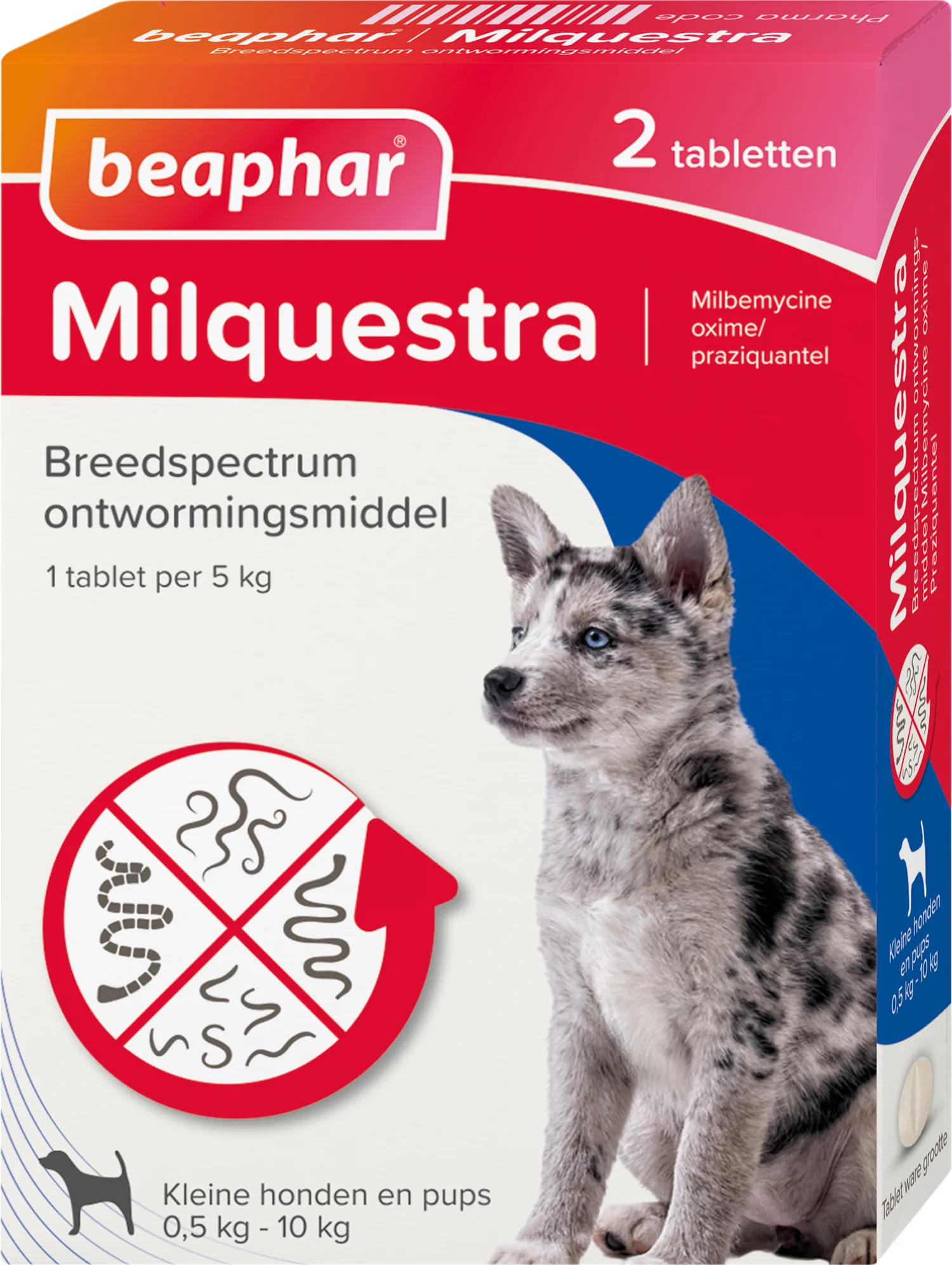 Beaphar Milquestra ontwormingsmiddel tabletten hond klein/pup 2 stuks