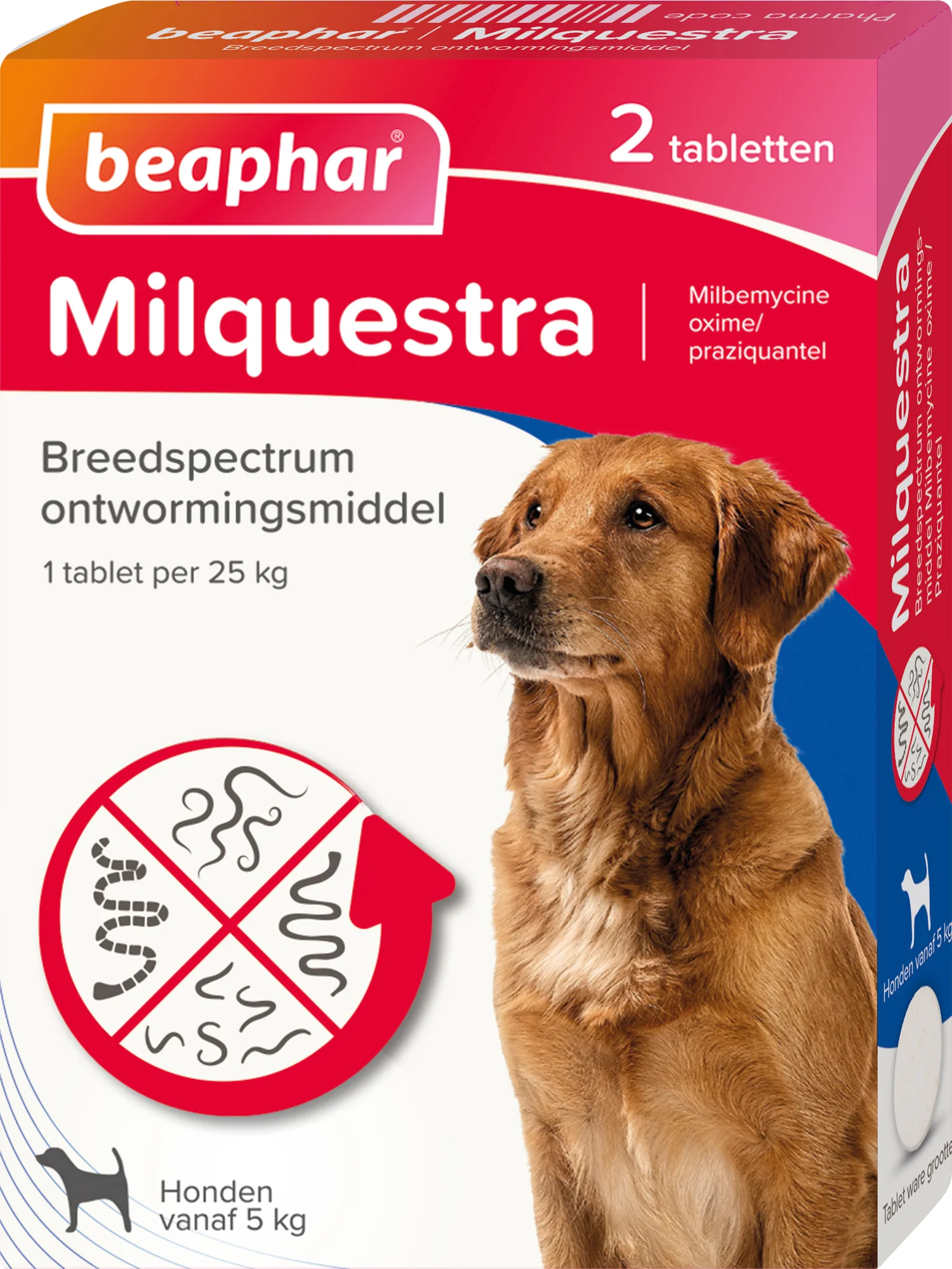 Beaphar Milquestra ontwormingsmiddel tabletten hond 5-50 kg 2 stuks