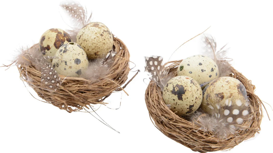 Decoris nest op wilgdraad naturel D 8 H 1 cm 2 stuks