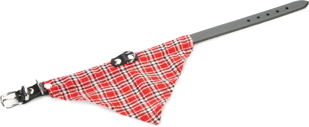 Beeztees halsband met rood doekje Ø32cm