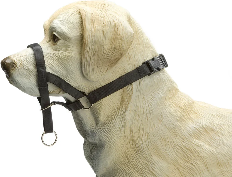 Beeztees hondenhalsband Dog Control zwart M