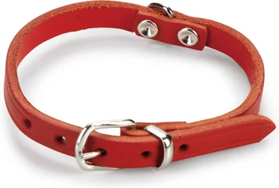 Beeztees hondenhalsband rood 32 x 1 cm