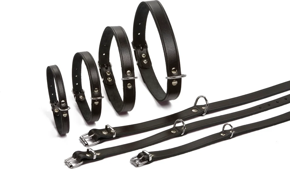 Beeztees hondenhalsband L zwart 32 cm