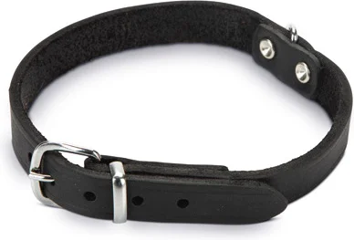 Beeztees hondenhalsband zwart 42 x 1,6 cm