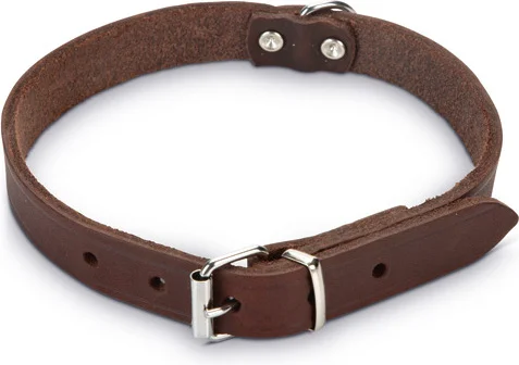 Beeztees hondenhalsband bruin 52 x 2 cm