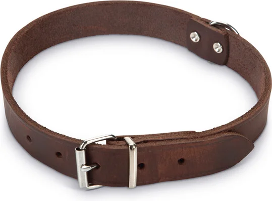 Beeztees hondenhalsband bruin 62 x 2,5 cm