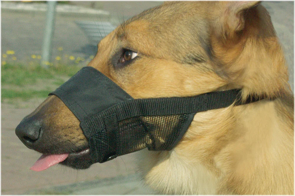 Beeztees muilband Comfort XL 20-27 cm