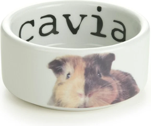 Beeztees caviavoerbak wit D 10 H 5 cm