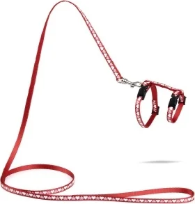 Beeztees nylon kittentuigje hearts 120cm x 10mm rood