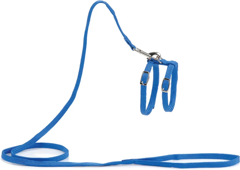 Beeztees kattentuigje blauw 130 x 1 cm