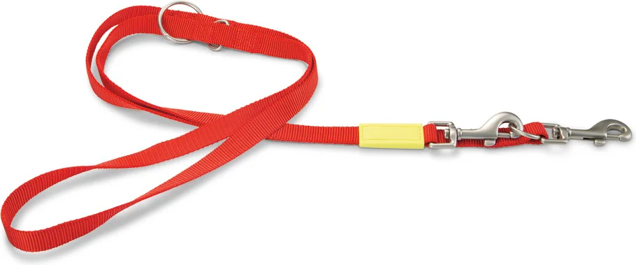 Beeztees hondenriem Uni rood 200 x 2 cm