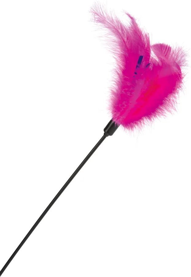 Beeztees kattenhengel veren 45 cm
