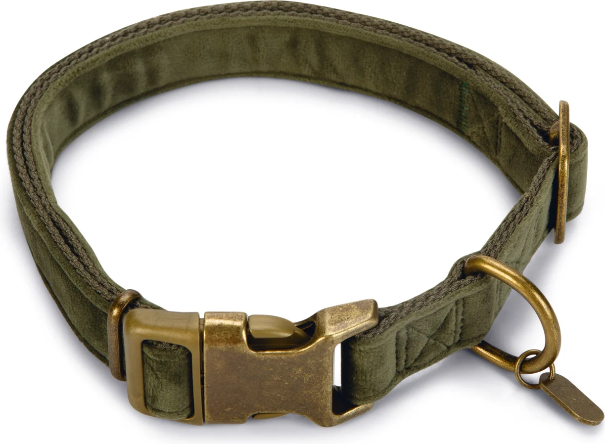 Designed by Lotte hondenhalsband Velura groen 48-70 x 2,5 cm