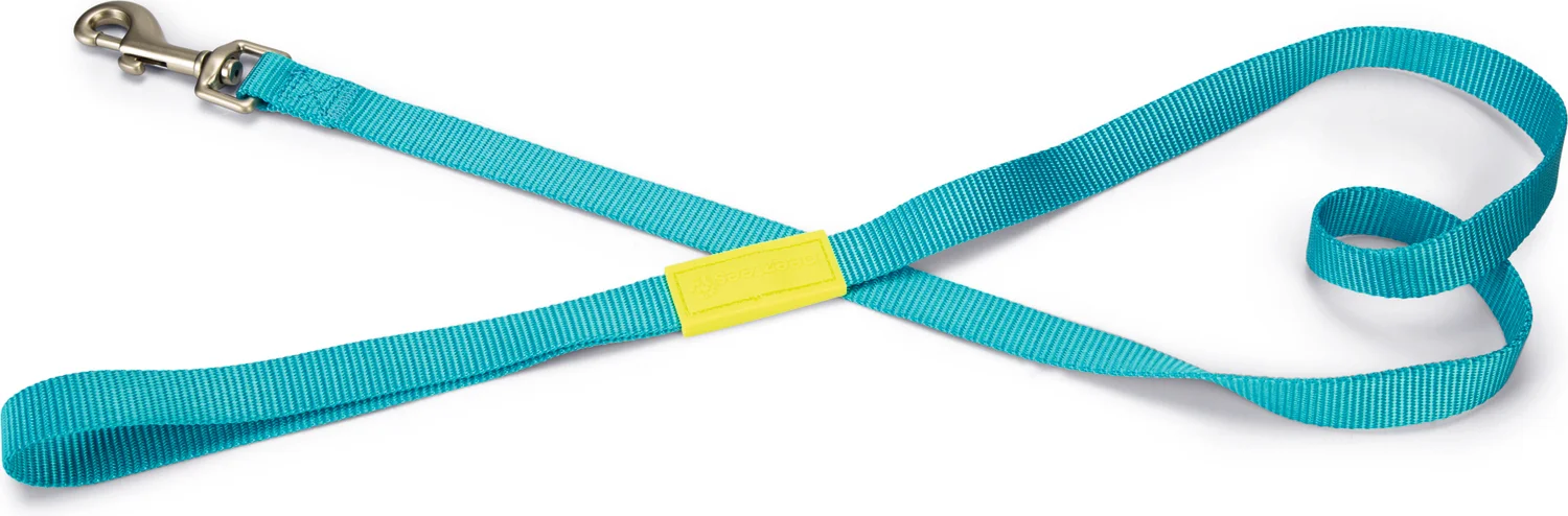 Beeztees hondenriem Uni blauw 120 x 2 cm