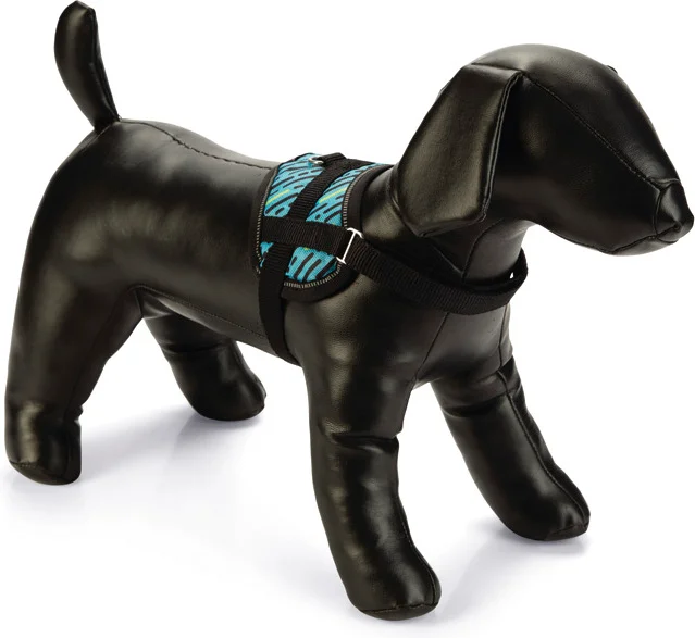 Beeztees hondentuig Memphis blauw 26-35 x 1,5 cm