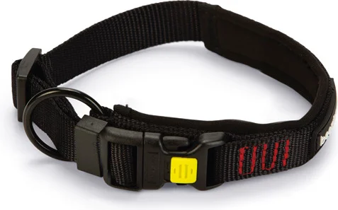 Beeztees hondenhalsband Parinca Premium zwart 35-40 x 2 cm