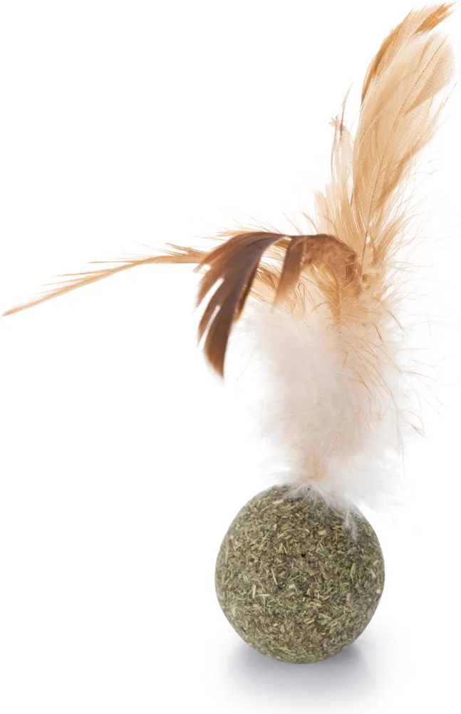 Beeztees kattenspeelgoed catnip bal met veren 12 x 2,5 x 3,5 cm