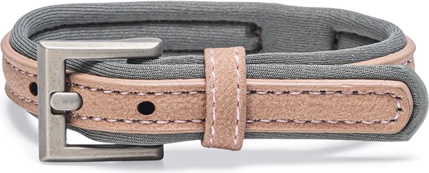 Beeztees hondenhalsband Balacron Ax roze 21-26 x 1 cm