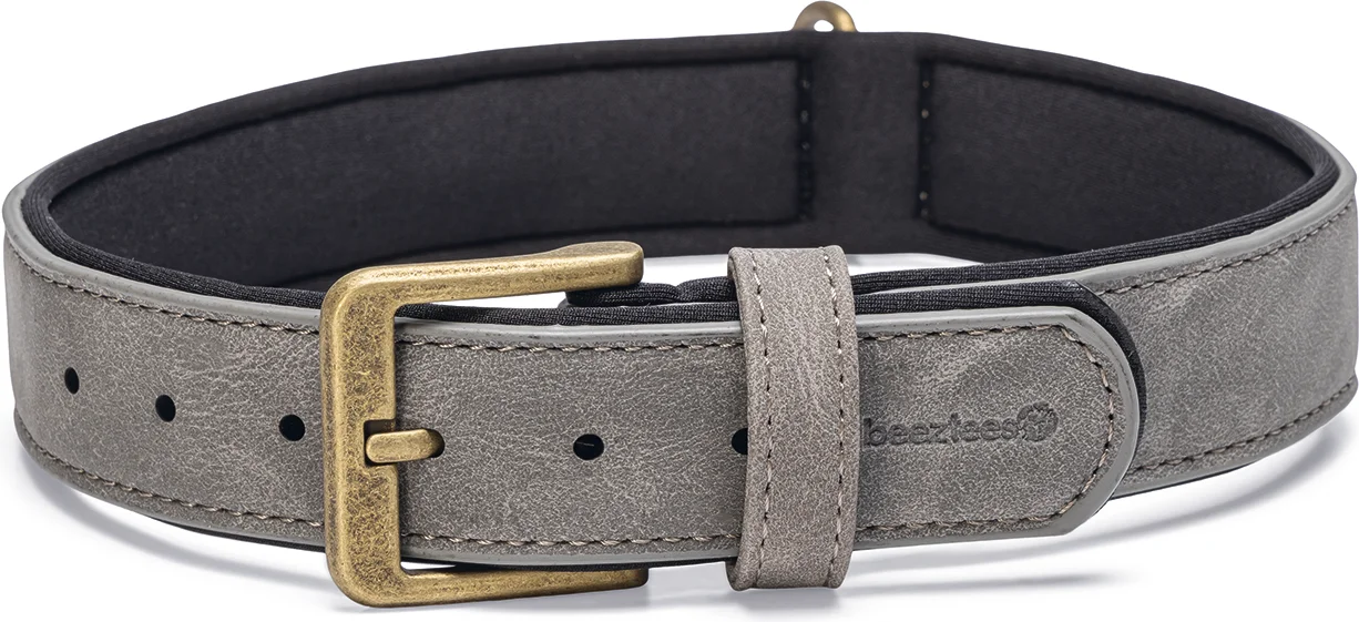 Beeztees hondenhalsband Balacron Ax grijs 47-57 x 3 cm