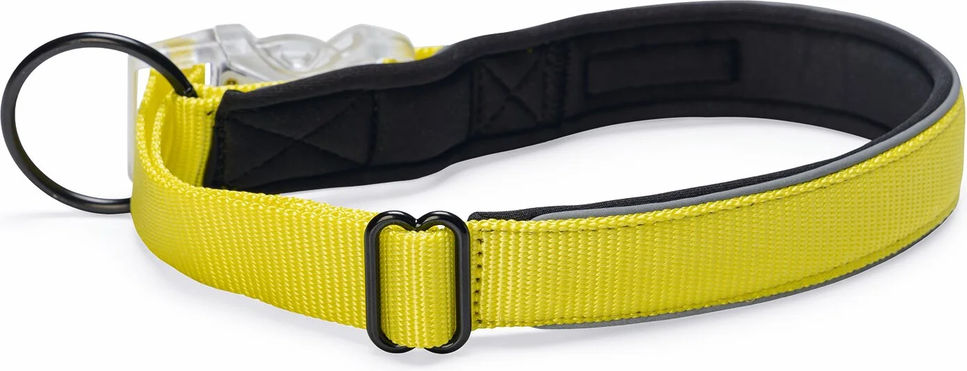 Beeztees hondenhalsband Parinca Premium geel 50-55 x 2,5 cm