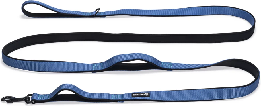 Beeztees hondenriem Parinca Premium blauw 300 x 2,5 cm
