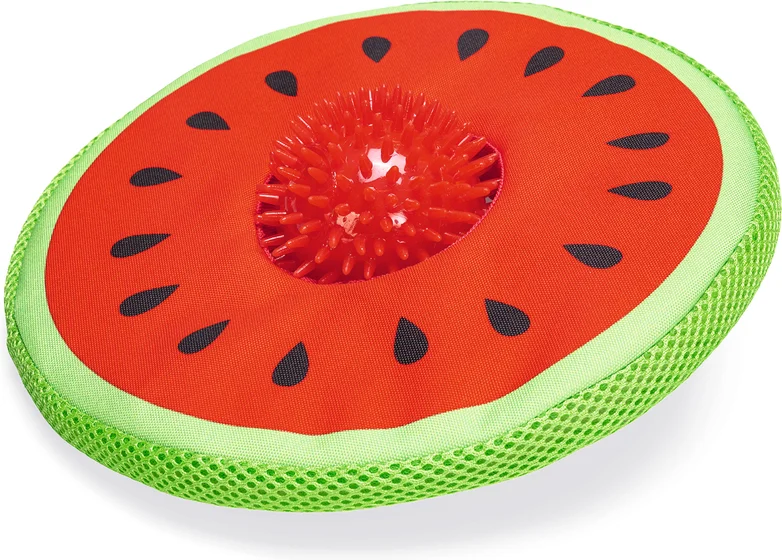 Beeztees hondenspeelgoed meloen Spikie 25 x 8 x 8 cm