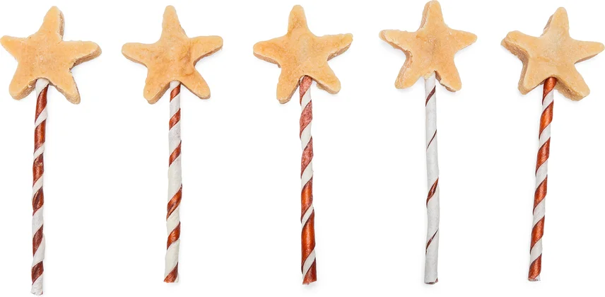 Beeztees hondenkoekjes ster op stokje 65 gram