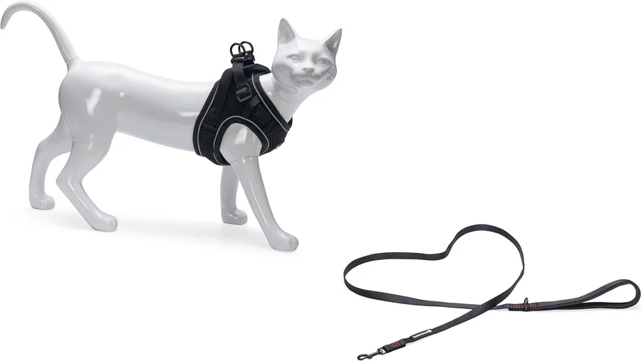Beeztees kattentuigje met lijn Parinca zwart S/M 23-28 cm