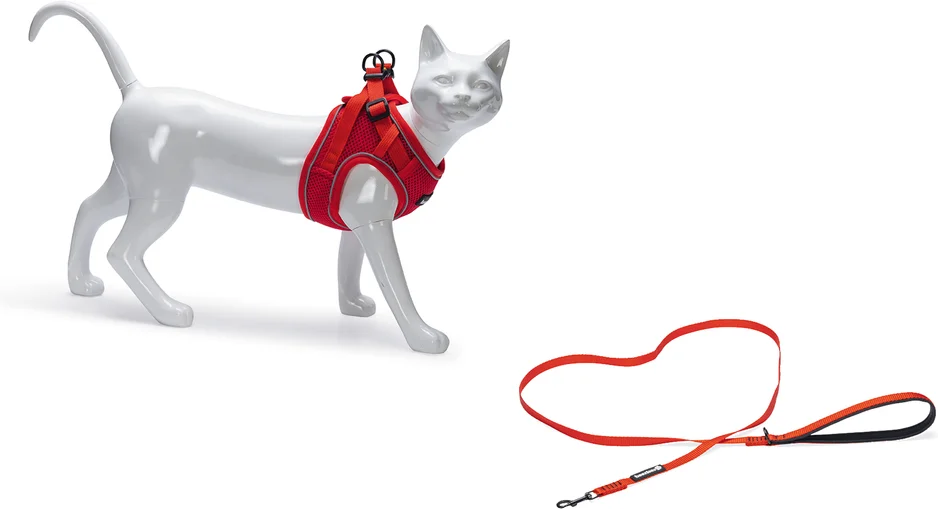 Beeztees kattentuigje met lijn Parinca rood S/M 23-28 cm