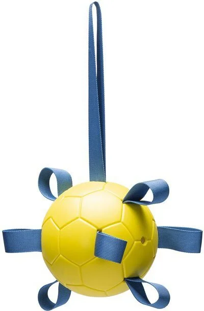 Beeztees speelbal Fetch D 13 H 13 cm