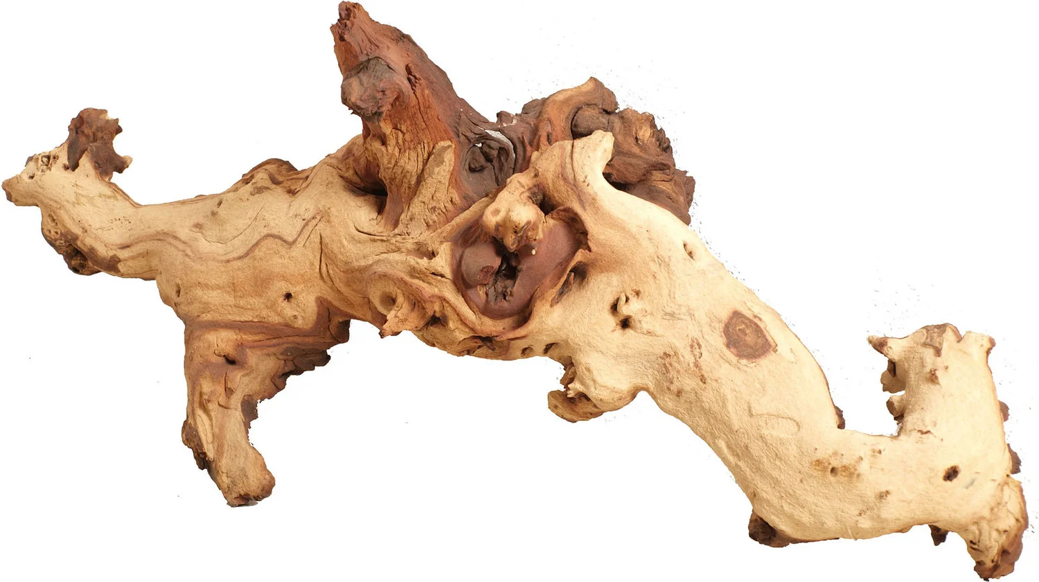 Boon aquarium decoratie Mopani hout 30 x 15 x 20 cm