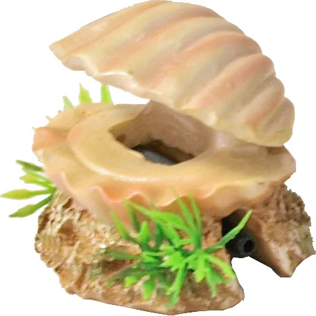Boon aquarium decoratie schelp multi 5,5 cm