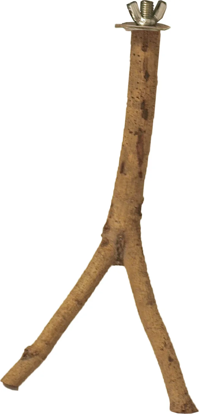 Boon zitstok met schroefdraad bruin 20 cm